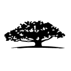 WisdomTree Emerging Markets Quality Dividend Growth Fund logo