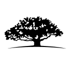 WisdomTree U.S. MidCap Dividend Fund logo