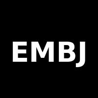 Embraer S.A. logo