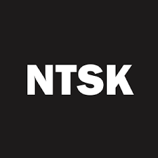 Netskope, Inc. Class A Common Stock logo
